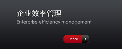 企業效率管理